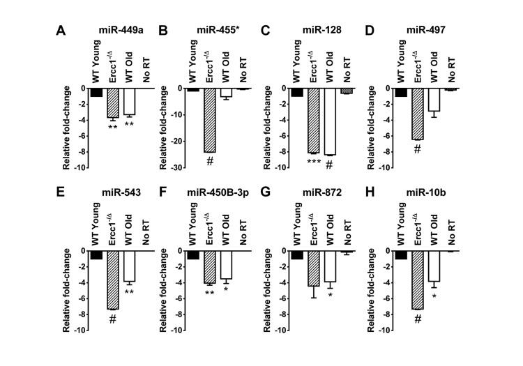 QRT-PCR quantification of miRNA identified as down-regulated in the liver of old WT mice and progeroid Ercc1−/Δ mice compared to adult WT mice