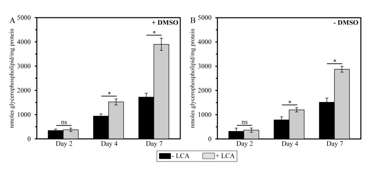 In yeast cultures containing exogenously added LCA, this bile elevates the glycerophospholipid/protein ratio of mitochondrial membranes in an age-dependent manner