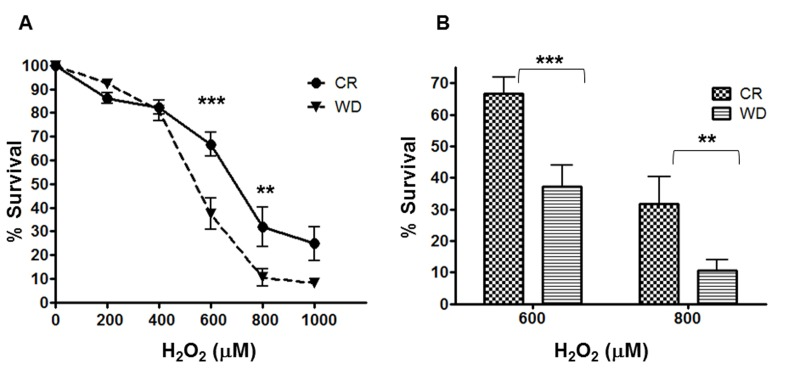 Differential Stress Resistance to hydrogen peroxide. A human fibroblast cell line (BJ) was cultured 48-hrs with sera from CR and WD individuals. Cell viability (WST1 assay) was determined after a 24 h treatment with H2O2 (0 – 1000 M). Data are represented as means ± SEM. P- values were determined with 2way ANOVA with Bonferroni post test. ***P 