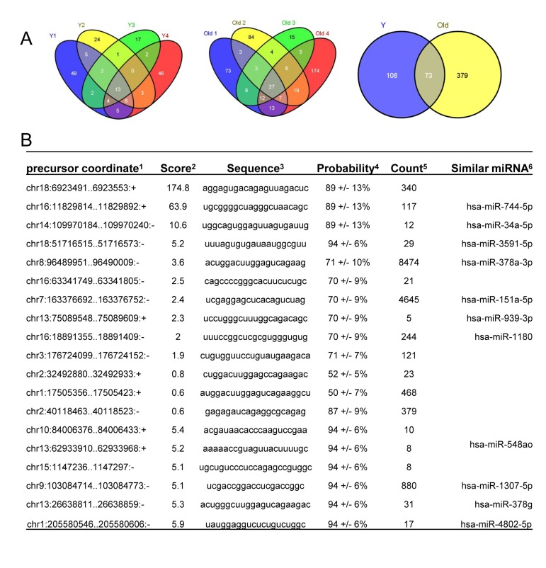 Identification of novel miRNAs in young and old skeletal muscle tissues from rhesus monkeys