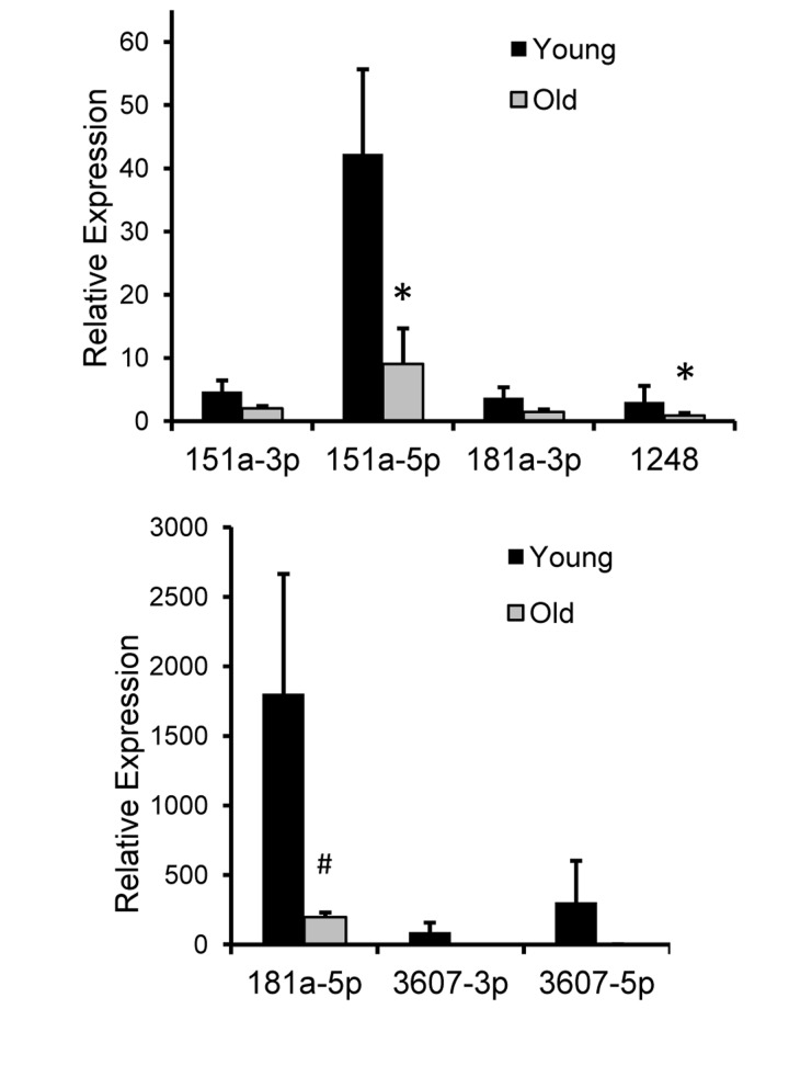 Relative expression of 7 miRNAs in rhesus monkey serum