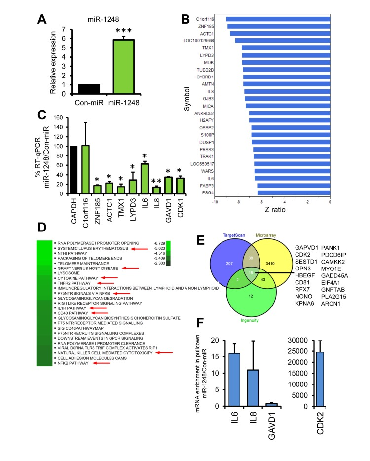 Pathway and Target analysis for miR-1248