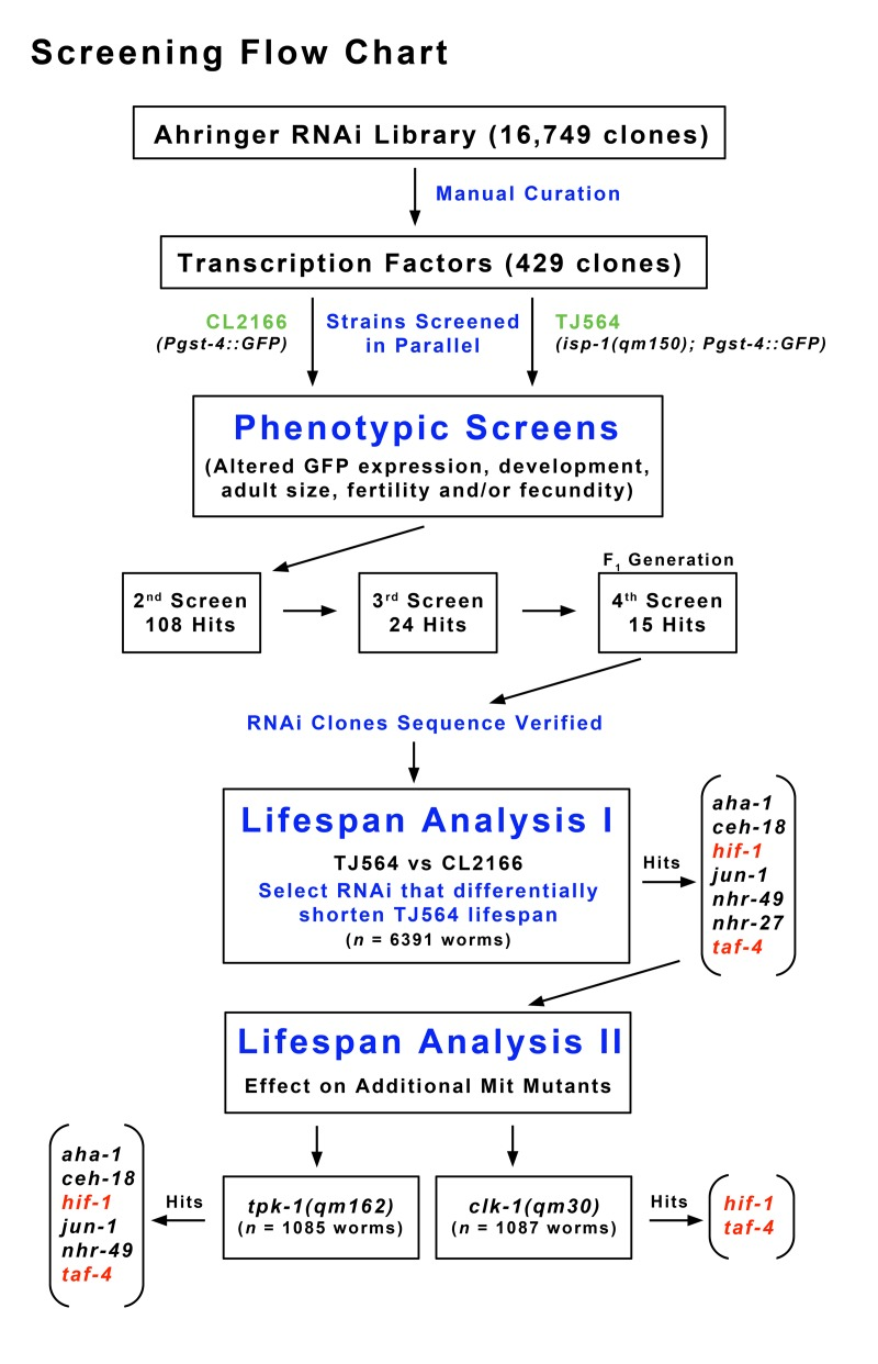 Flow Chart Describing Screening Methodology