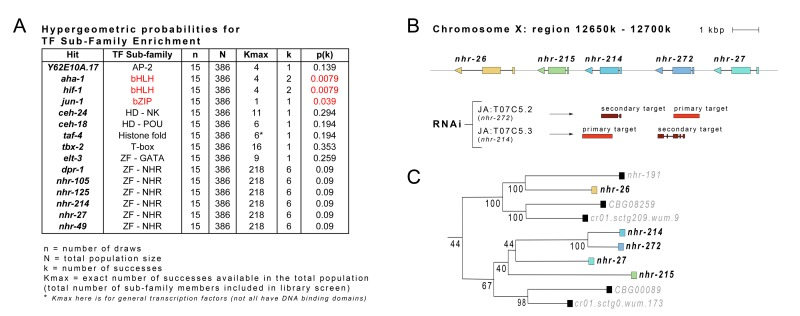 Transcription Factor Sub-Families are Enriched Within Set of Identified RNAi Clones