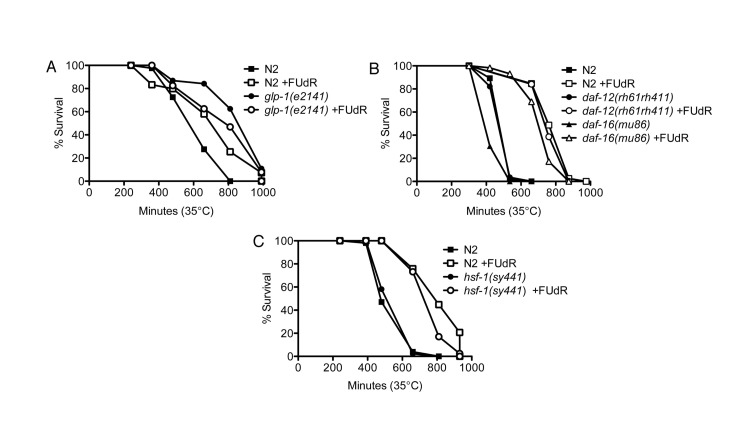 FUdR confers thermotolerance via germline signals that are independent of daf-12, daf-16, and hsf-1