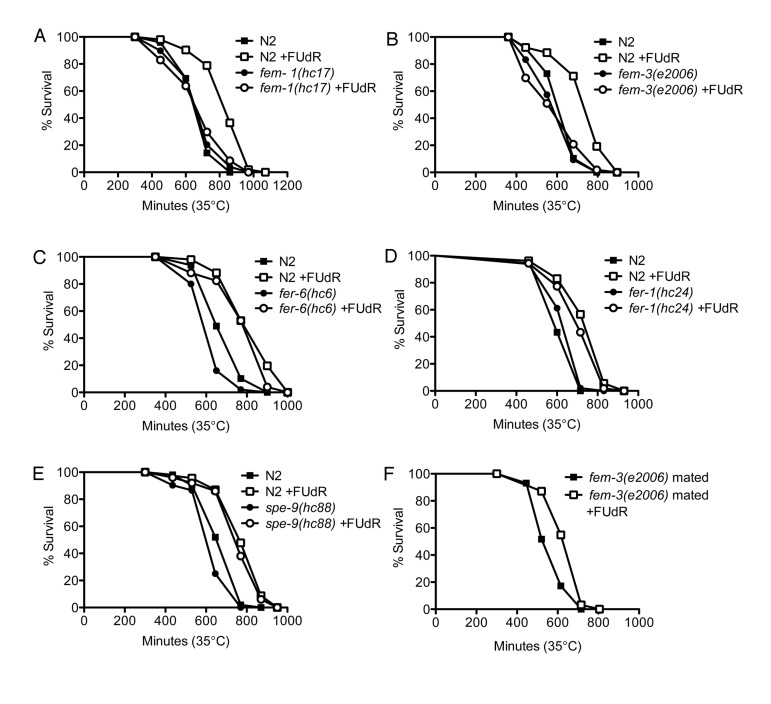 FUdR is dependent on oocytic maturation to confer stress resistance