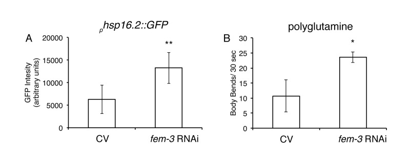 Loss of FEM-3 is sufficient to improve proteostasis