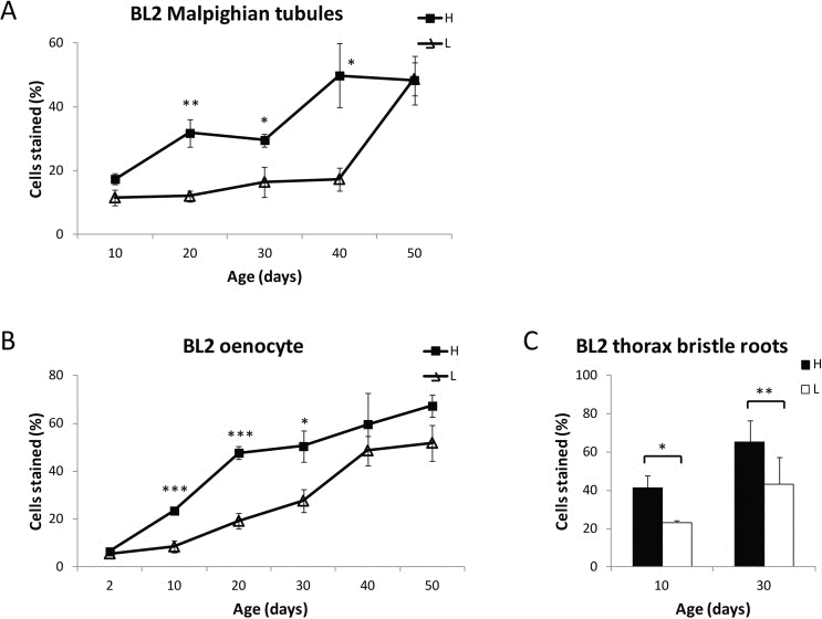 Dietary restriction delays age-related loss of gene silencing