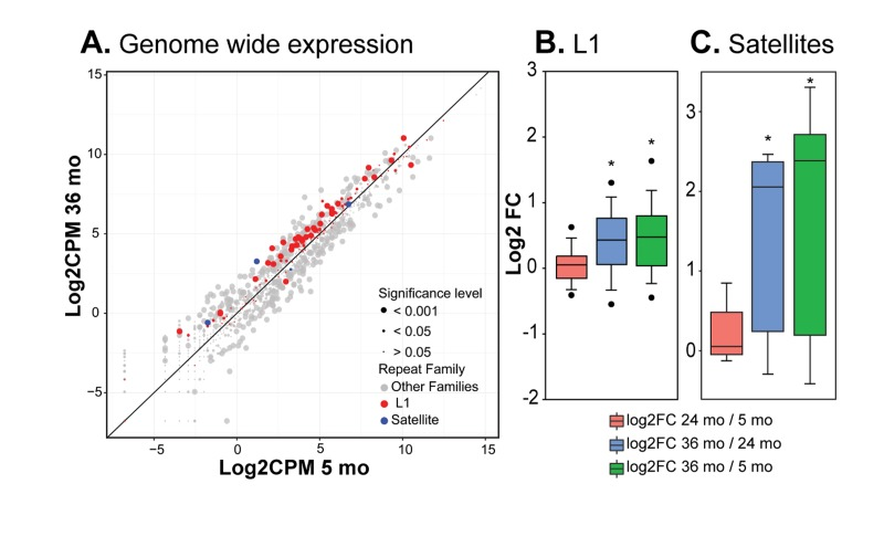 RNA-seq analysis of repetitive element RNA expression