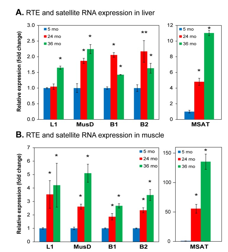 qPCR analysis of RNA expression of representative RTEs and SEs