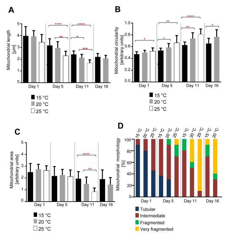 Age-dependent mitochondrial changes occur faster at 25 °C and slower at 15 °C