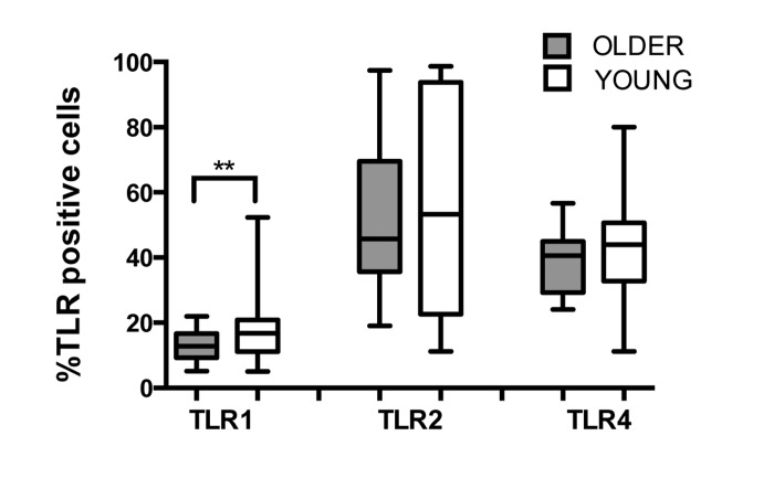 Effect of aging on expression of TLRs in human PMN
