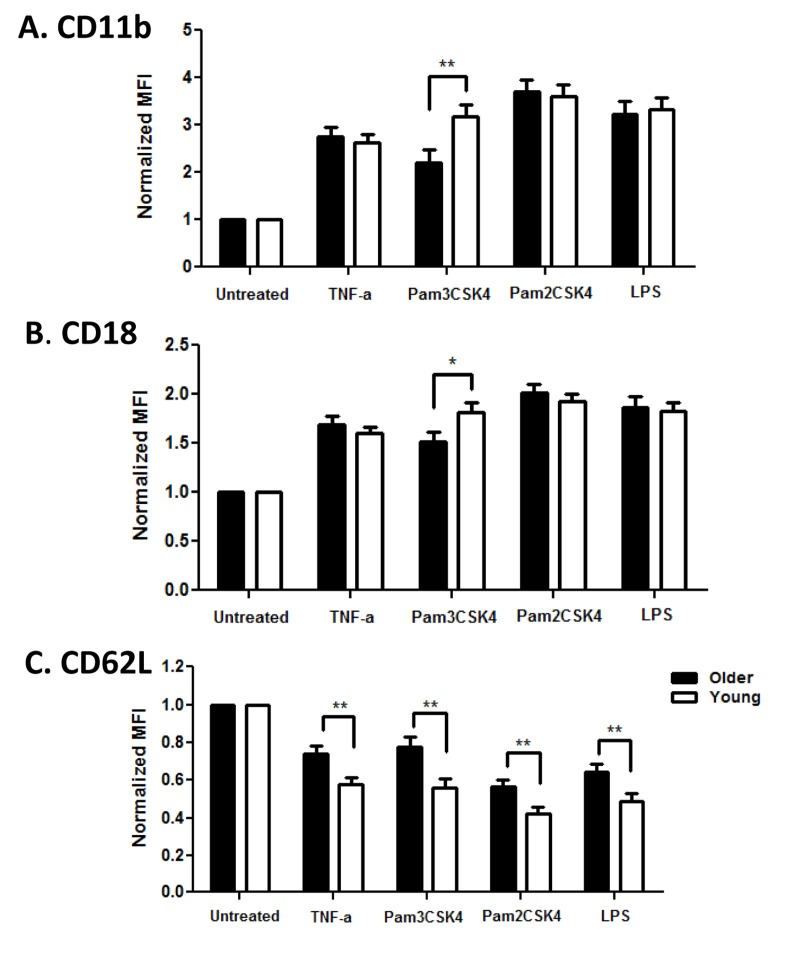 Age-associated alterations in PMN surface markers