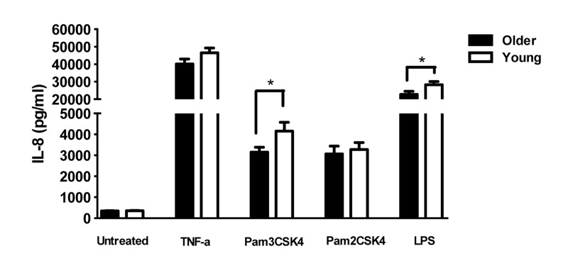 Effect of aging on TLR-stimulated production of cytokines by PMN