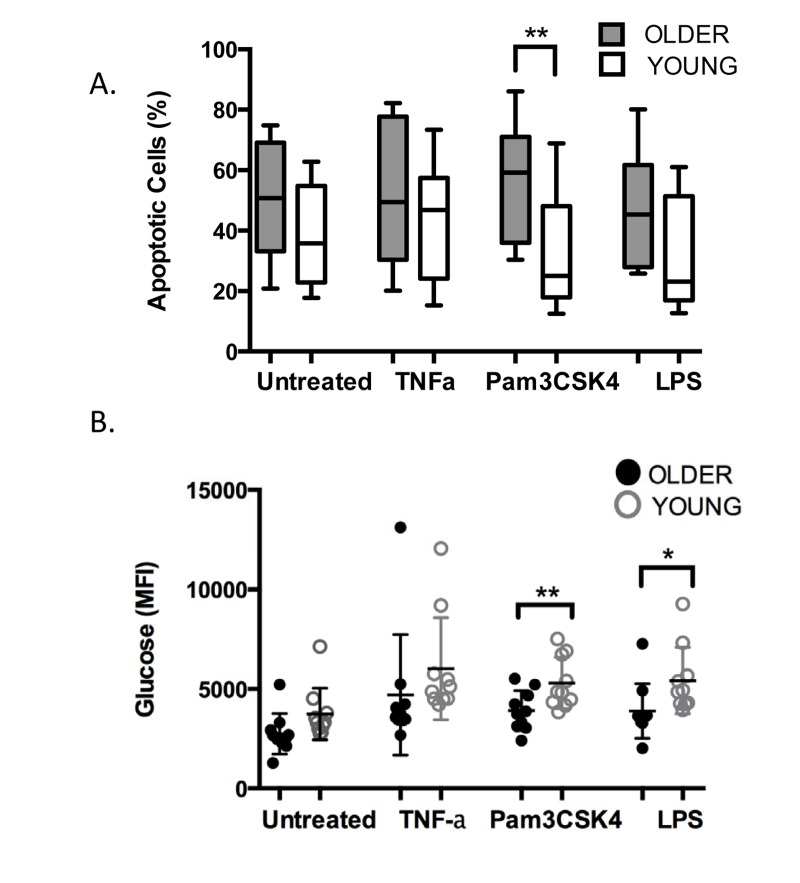 Age-related alterations in TLR1-mediated stimulation of PMN