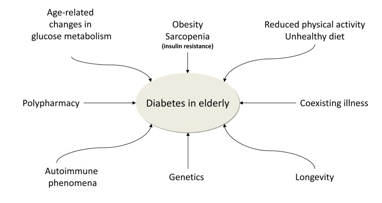 The figure 1 shows the main factors contributing to the high prevalence of diabetes mellitus in the elderly.