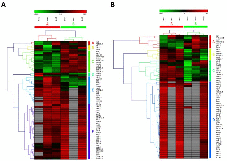 The heat map and hierarchical clustering in MAPK signaling pathway during aging