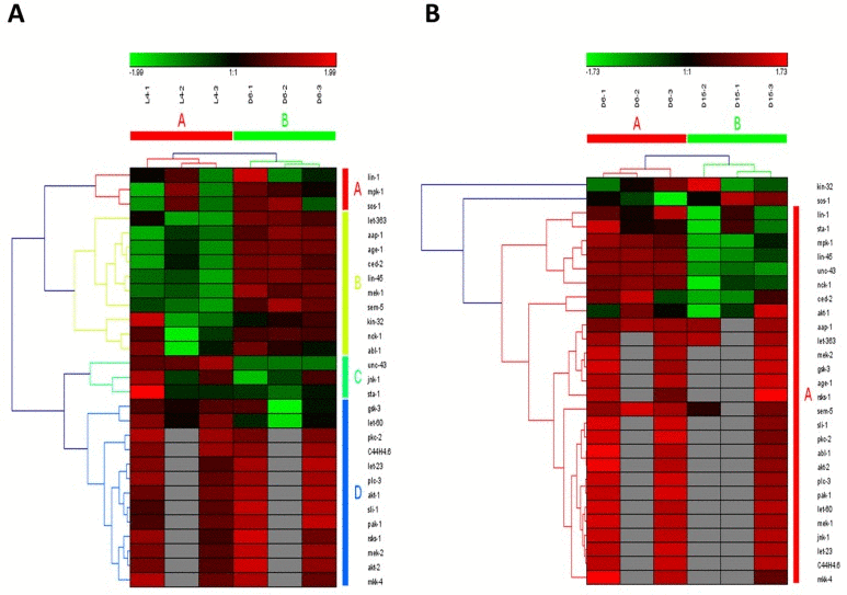 The heat map and hierarchical clustering in ErbB signaling pathway during aging