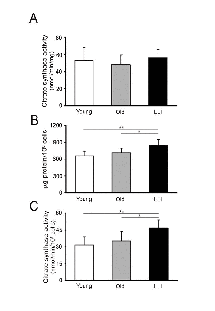 Mitochondrial mass increases in DFs from LLI