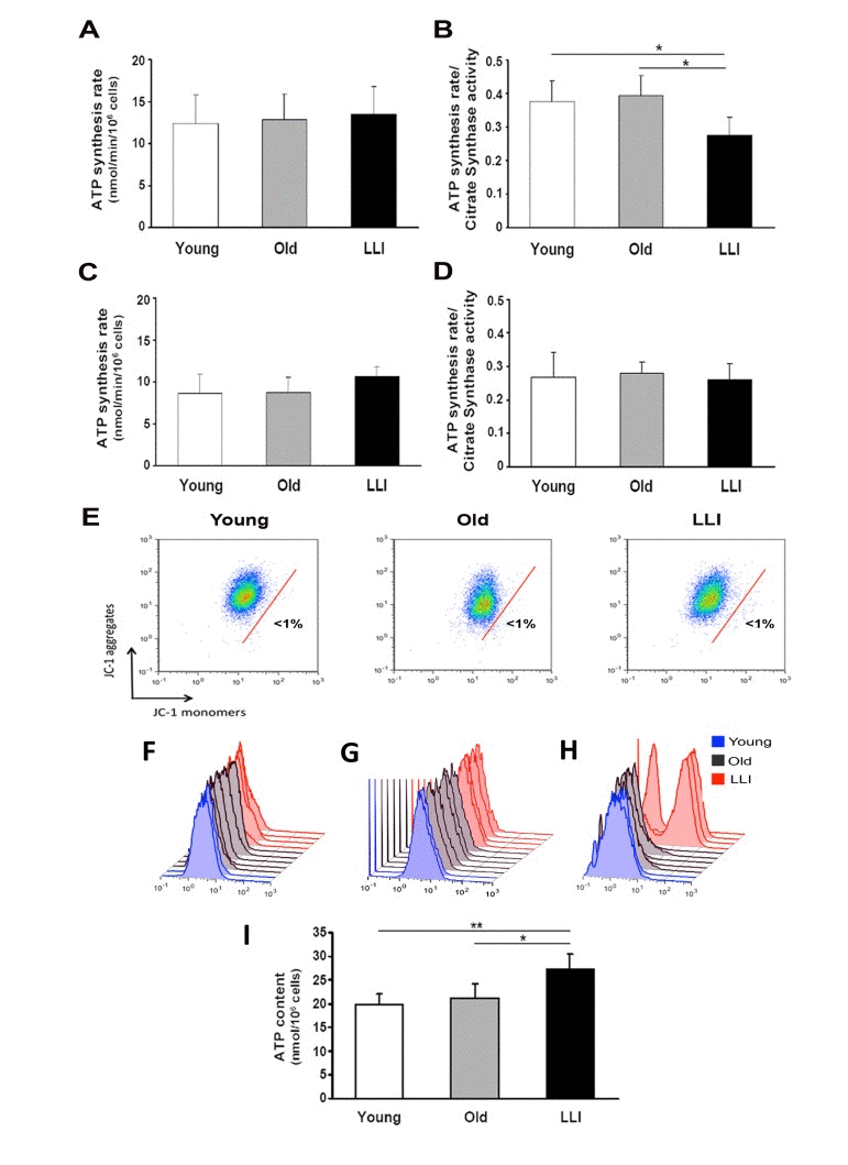 Mitochondria from LLI are defective but maintain a high bioenergetic efficiency