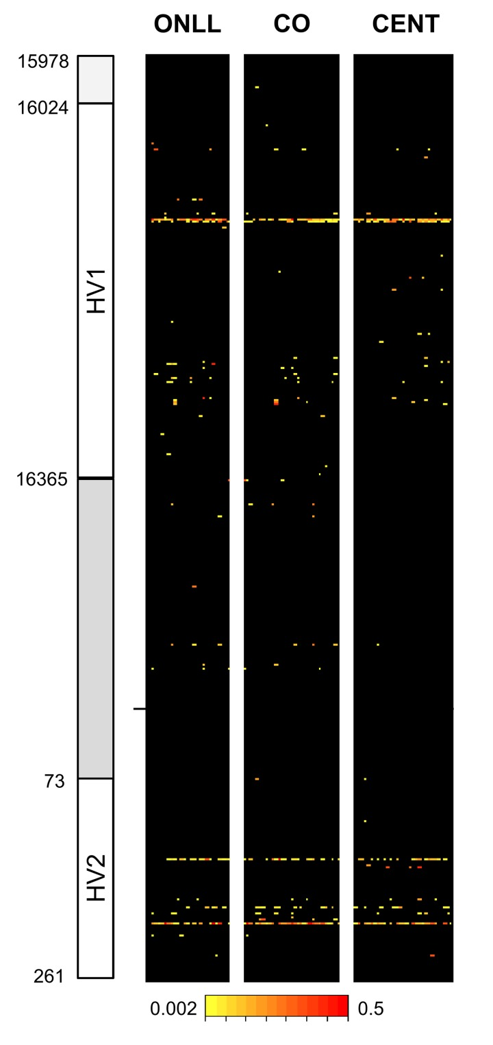 Overview of heteroplasmy pattern in the 853 bp region considered