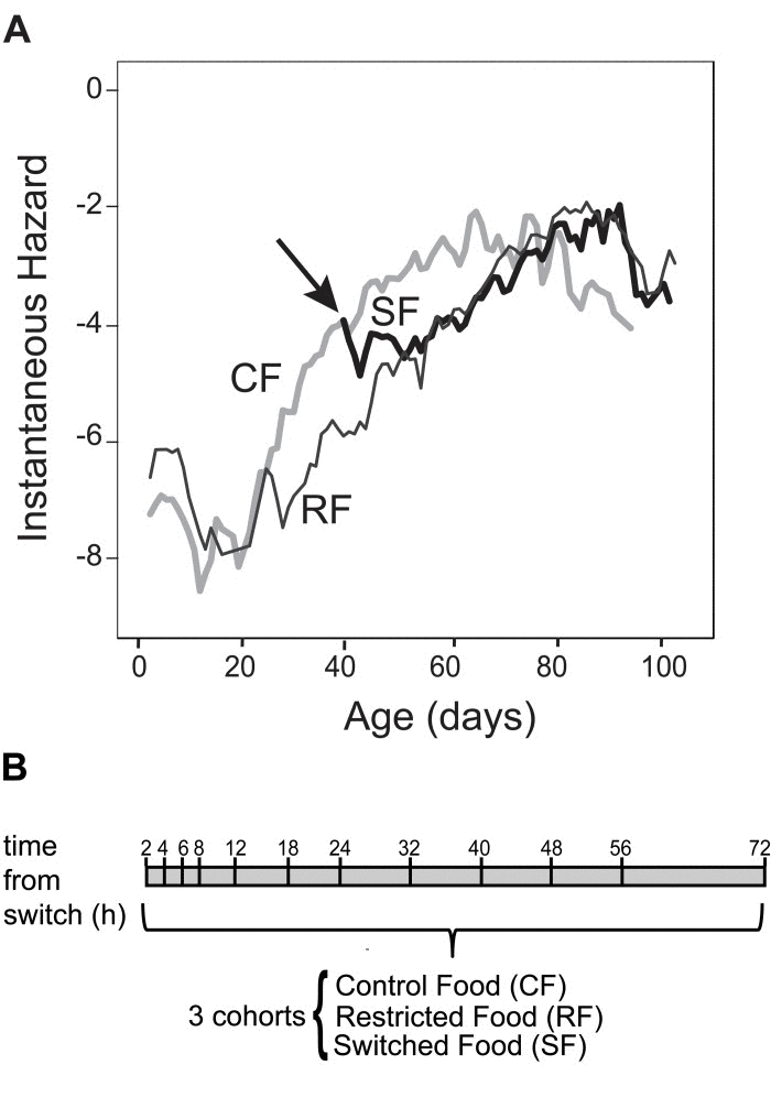 Rationale, experimental design and switch in mortality rate