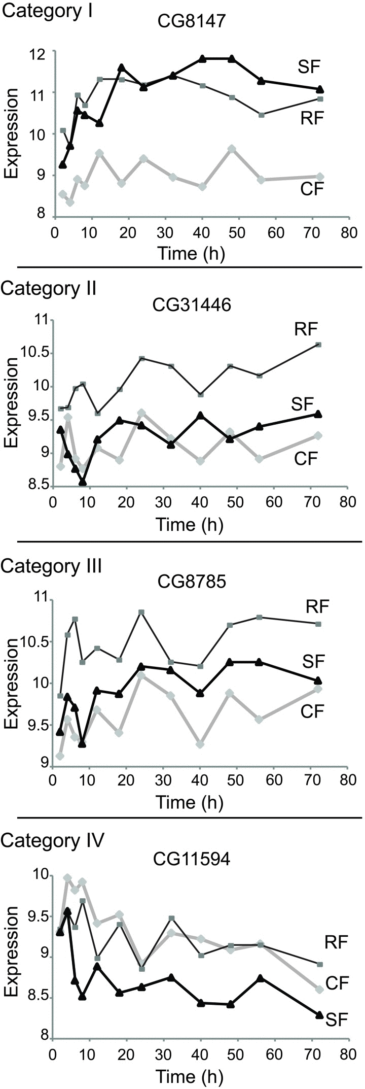 Expression plots of selected genes in each category