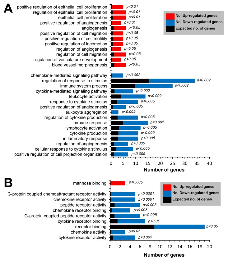 GO enrichment analysis of differentially expressed genes in Mrc1+ cTMs