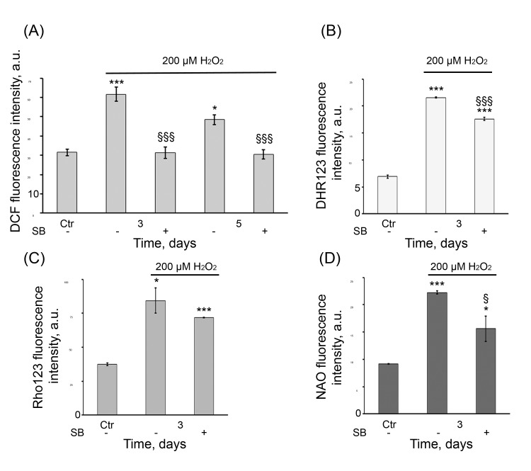 SB diminished ROS production and mitochondrial function in senescent hMESCs