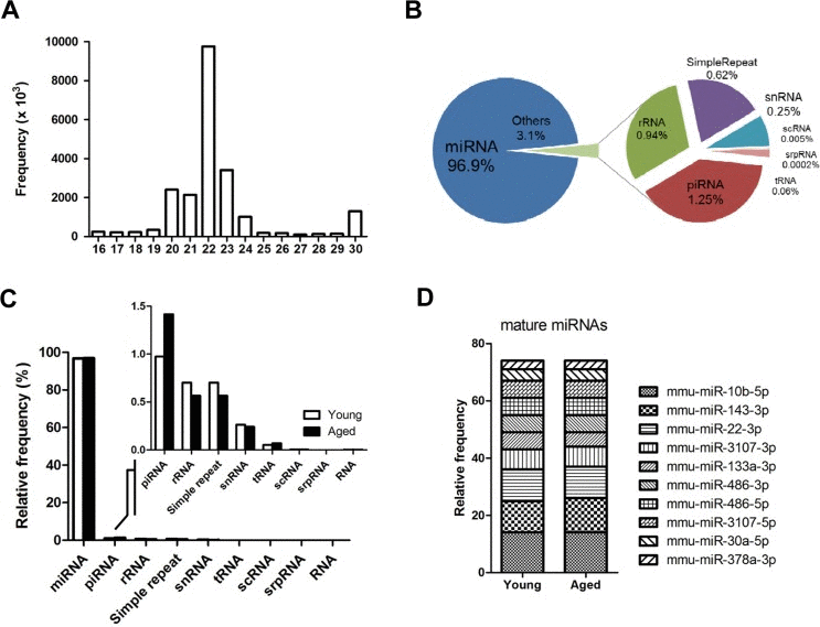 Overview of next-generation sequencing of the small RNA transcriptome in skeletal muscle