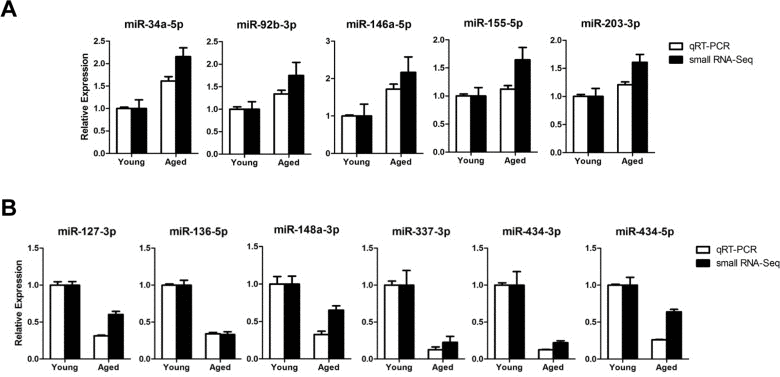 Expression confirmation of 11 representative miRNAs by qRT-PCR