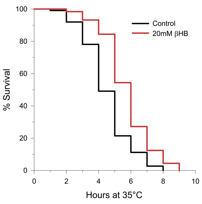 Treatment with βHB increases thermotolerance (log-rank p 