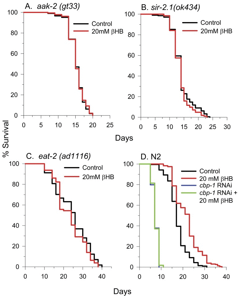 The metabolite alpha-ketobutyrate extends lifespan by promoting peroxisomal  function in C. elegans