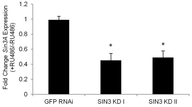 The Gene-Switch GAL4 driver can be used to effectively knock down expression of Sin3A in adult Drosophila