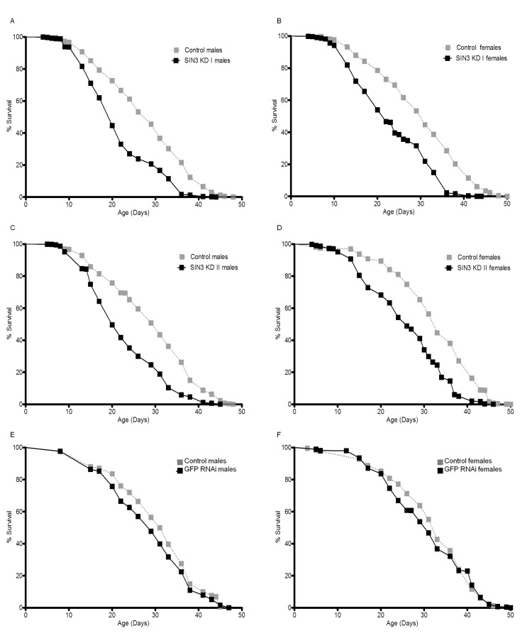 Ubiquitous Sin3A knockdown (KD) causes decreased survival