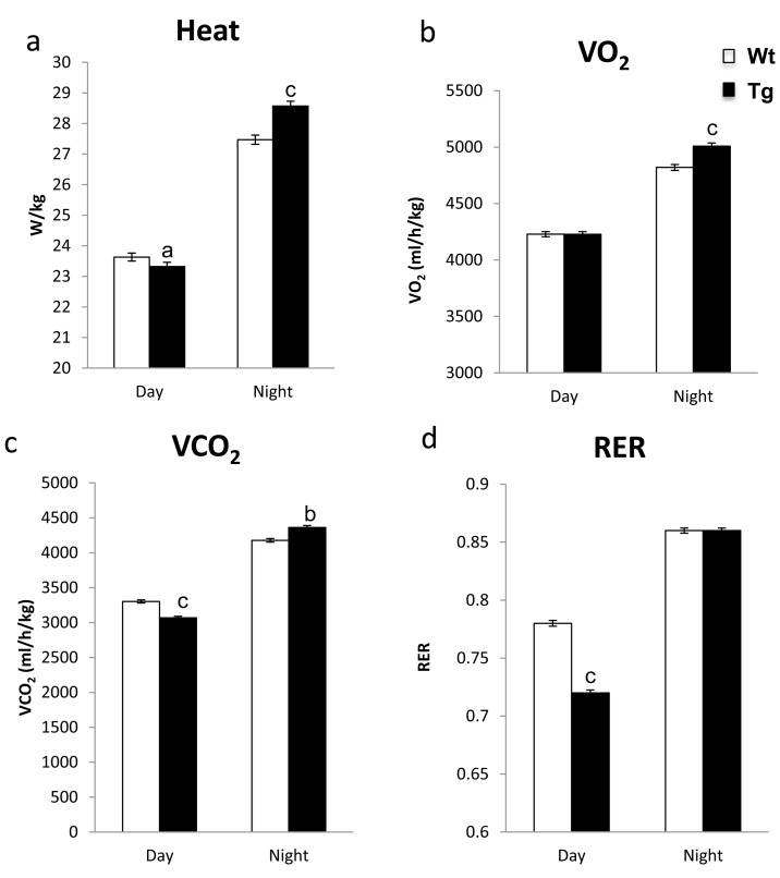 hNAG-1 transgenic mice have increased metabolism