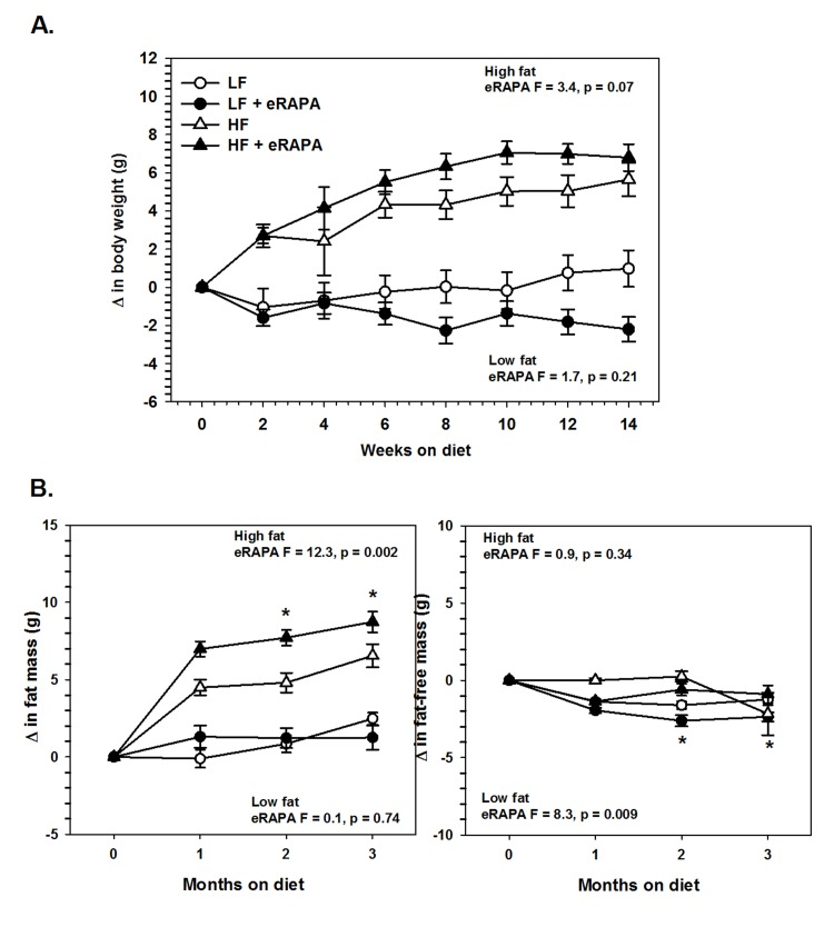 (A) Body weight of UT-HET3 males fed low fat (circles) or high fat (triangles) diets either with (solid) or without (open) encapsulated rapamycin (eRAPA). (B) Total fat content (left) and fat-free content (right) of mice in A. For all, symbols represent average (± SEM) values for n=6-10 mice. F and p values given for repeated measures ANOVA testing the effect of eRAPA for the indicated diet. Asterisks indicate significant difference at time point between eRAPA and control for given diet from post-hoc analysis of ANOVA.