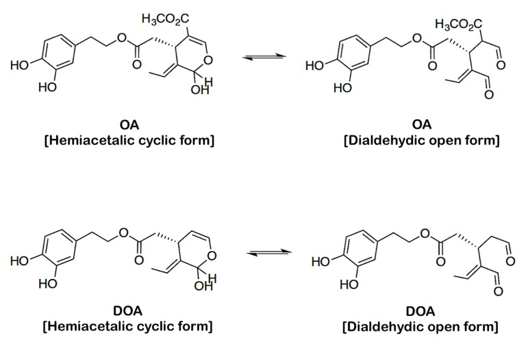 Structures of oleuropein aglycone (OA) and decarboxymethyl oleuropein aglycone (DOA)