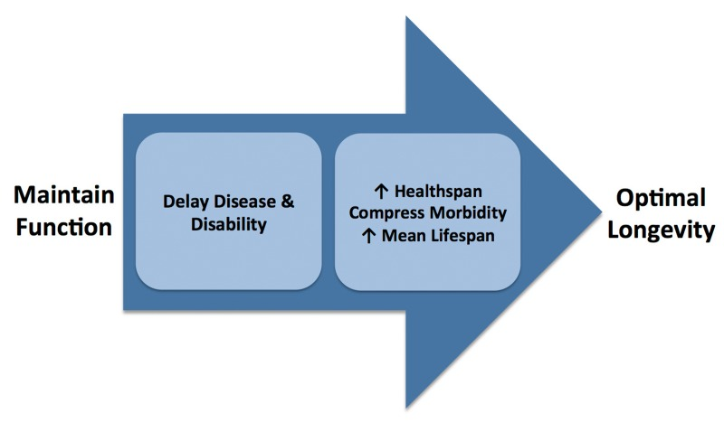 Role of preserved function in achieving optimal longevity