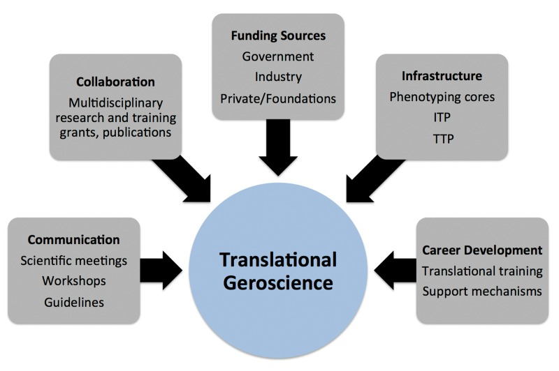 Key components of translational geroscience