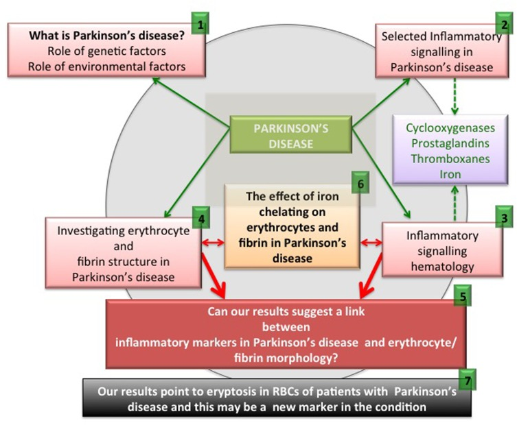 An overview figure summarizing the contents of this manuscript.