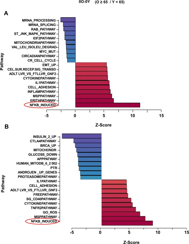 Effect of age on gene expression profiling in unactivated human peripheral blood CD4+ T lymphocytes