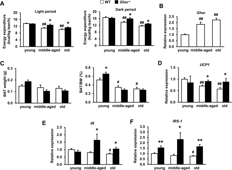 Ghrelin receptor ablation attenuates age-associated decline of thermogenesis and enhances insulin signaling in BAT