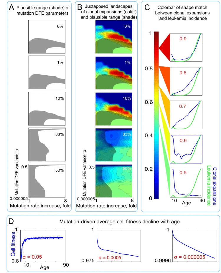 Landscapes of clonal expansions in the simulated pools under different parameters of mutation DFE when cell fitness is defined by mutations only