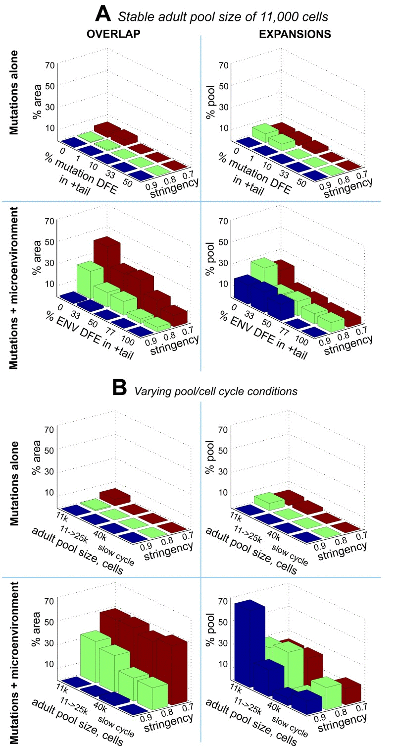 Clonal dynamics in the simulated HSC pools under different parameters of mutation and micro-environmental DFEs