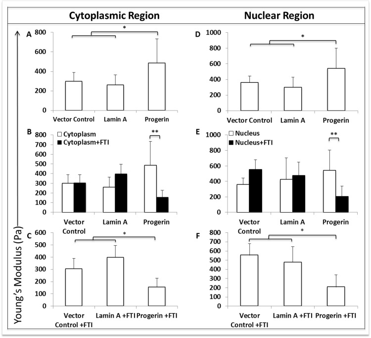 Progerin expression significantly alters membrane stiffness when measured by atomic force microscopy. (A,D) Progerin expression significantly increases membrane stiffness in both cytoplasmic (A) and nuclear (D) regions when compared to control cell lines, while stiffness in cytoplasmic and nuclear regions are not significantly different between control cell lines. (B, E) FTI treatment significantly decreases membrane stiffness in cytoplasmic (B) and nuclear (E) regions in progerin-MIAMI cells when compared to untreated progerin-MIAMI cells, while stiffness in cytoplasmic and nuclear regions are not significantly different before and after FTI treatment in control cell lines. (C, F) FTI treatment significantly decreases membrane stiffness in cytoplasmic (C) and nuclear (F) regions in progerin-MIAMI cells to levels that are significantly less than treated control cell lines, while stiffness in cytoplasmic and nuclear regions are not significantly different between control cell lines after FTI treatment. Values are mean ± standard deviation (n≥3). *pt-test.