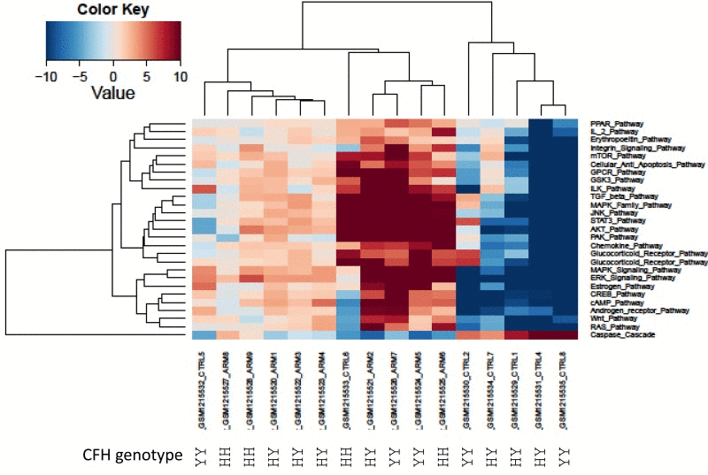 Heatmap of differentially activated pathways shown in Figure 1A