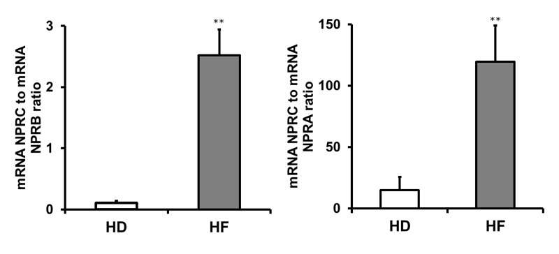 The expression of regulatory receptors (NPRA, NPRB) of natriuretic peptides system is downregulated in HF-derived BM-MMSC