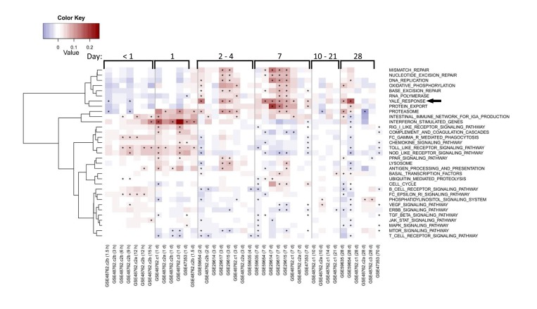 Enrichment of response and OXPHOS signature in published studies of influenza vaccine response