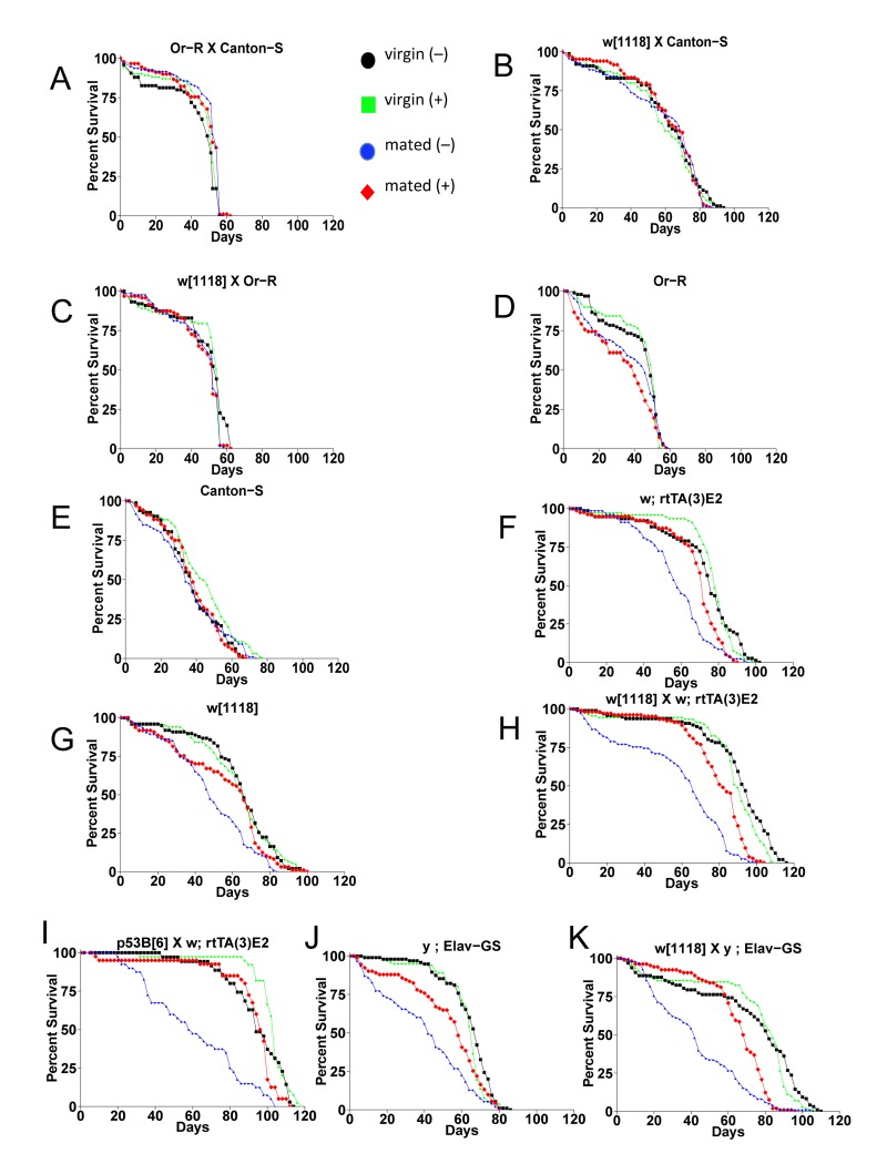 The effect of mating and mifepristone on female life span in multiple genotypes